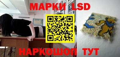 ешки Ставрополь