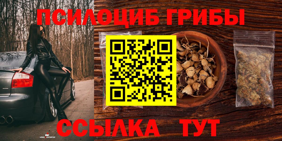 Галлюциногенные грибы Cubensis  закладки  Советский  Вход с VPN 